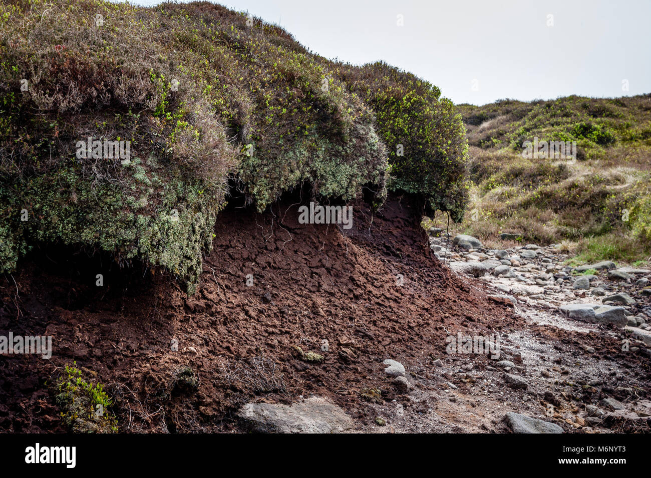 Welle wie haggs und groughs oder entwässerungsrinnen sind Eigenschaften von Torf Erosion auf Pennine Hochmoore, wie hier am Kinder Scout in Derbyshire Stockfoto