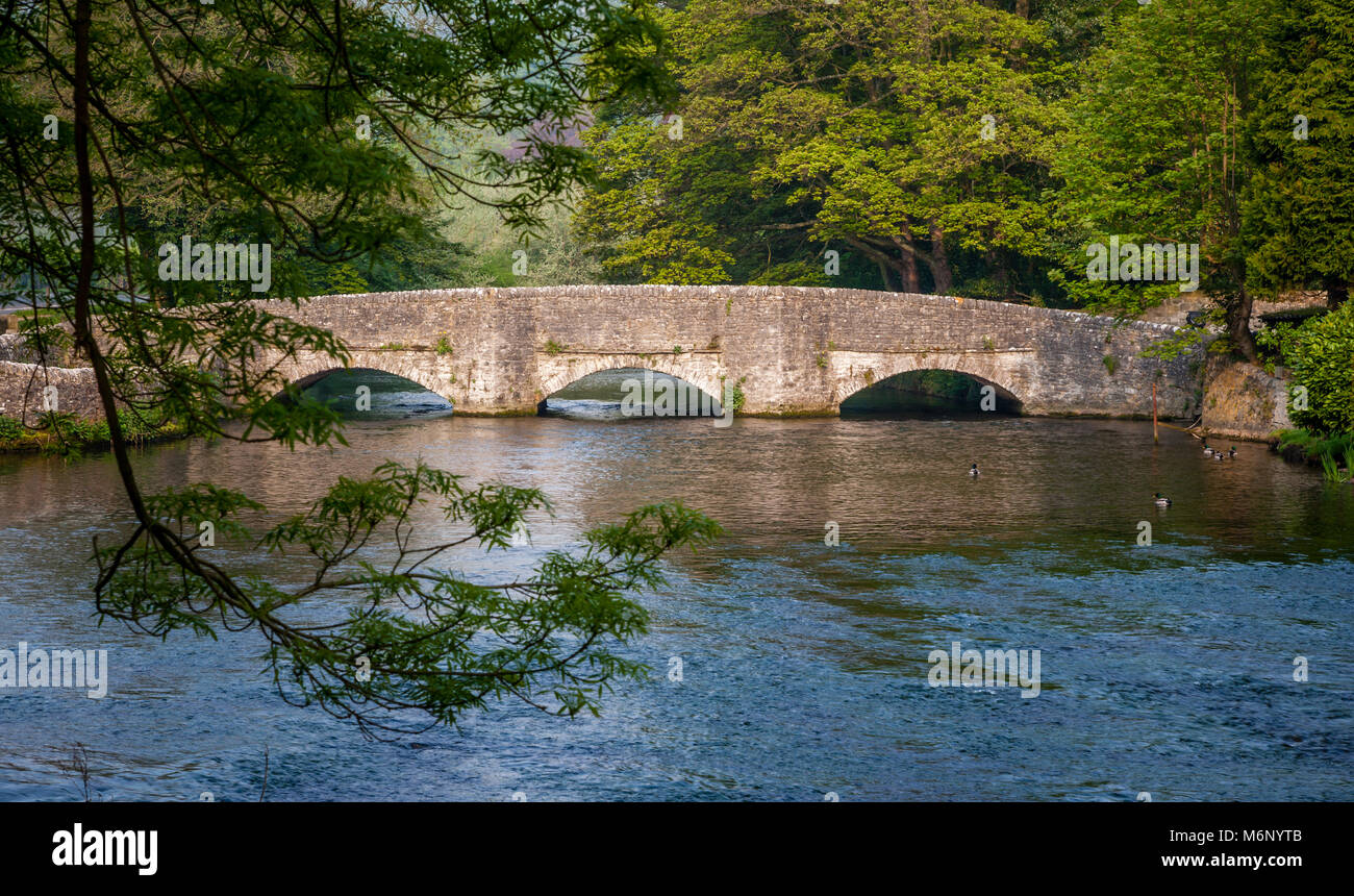 Packesel Brücke über den Fluss Wye in Ashford im Wasser in der Nähe von Bakewell in Derbyshire Peak District DE Stockfoto