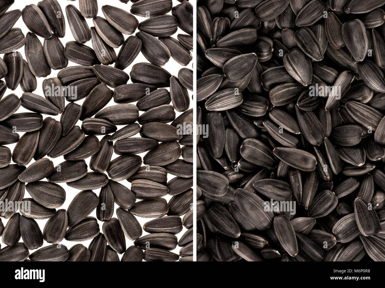 Schwarze Sonnenblumen Samen. Für Textur oder Hintergrund Stockfoto