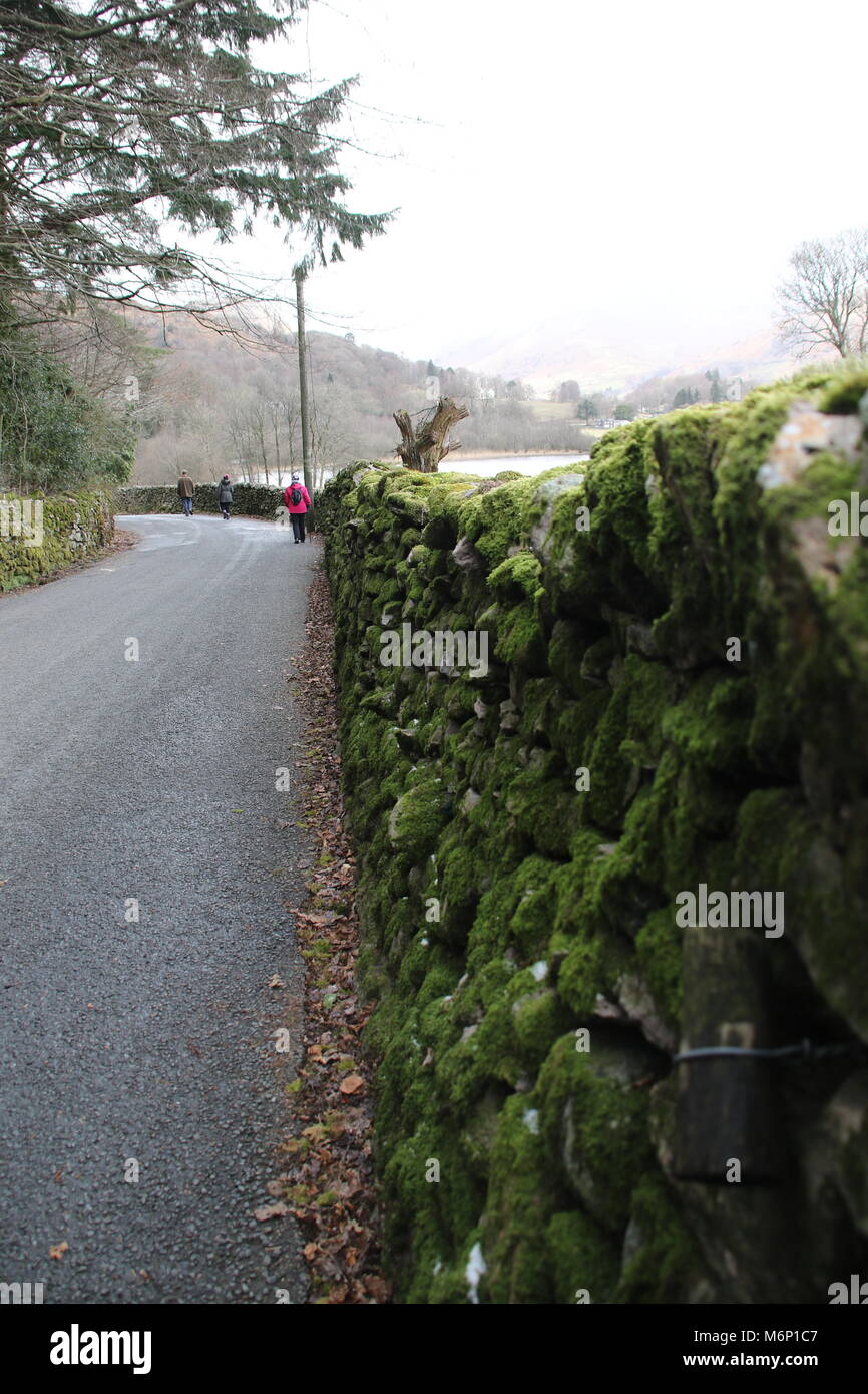 Moos bedeckt Steinmauern auf einer schmalen Gasse in Cumbria Lake District mit einem Walker in der Ferne Stockfoto