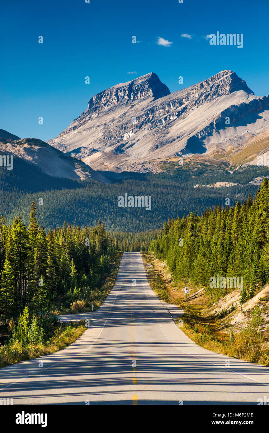 Wassermelone Peak, Park reicht aka Main reicht der Kanadischen Rockies, vom Icefields Parkway, Banff National Park, Alberta, Kanada Stockfoto