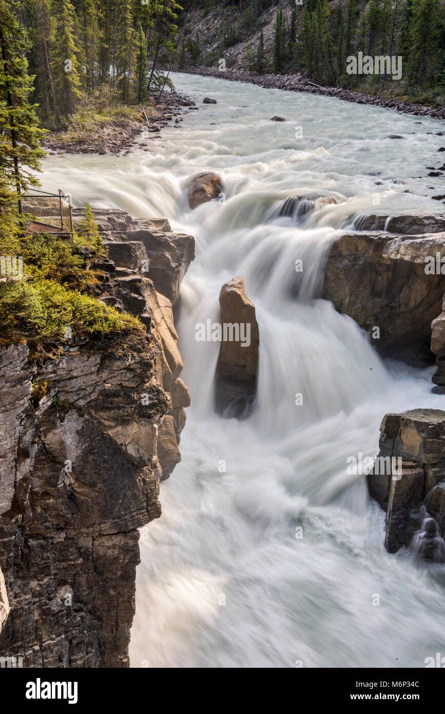 Sunwapta Falls, der Kanadischen Rockies, die Icefields Parkway, Jasper National Park, Alberta, Kanada Stockfoto