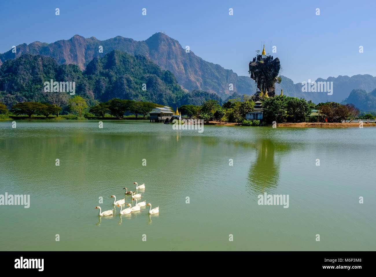 Die kyauk Ka Lat Pagode gehört zu einem Kloster und liegt auf einer Insel in der Mitte eines Sees gelegen, weiße Gänse schwimmen im See, Mount Zwegabin Stockfoto