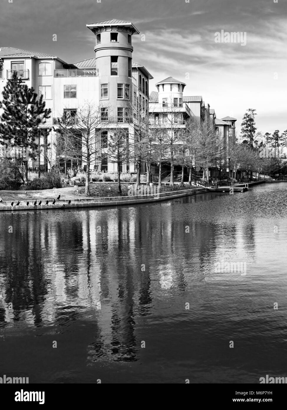 Gebäude entlang des Lake Woodlands mit Bäumen in B&W Stockfoto