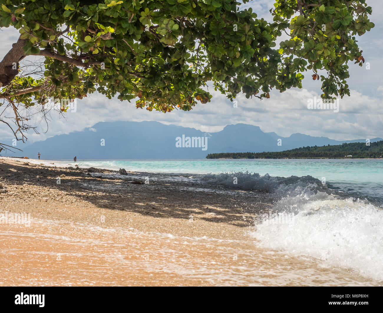 Baum auf der wunderschönen tropischen Strand auf einer der Sieben Inseln, in der Nähe der Insel Seram, Molukken, Indonesien, pelau Sau, Sau'u, Banda See, Asien Stockfoto
