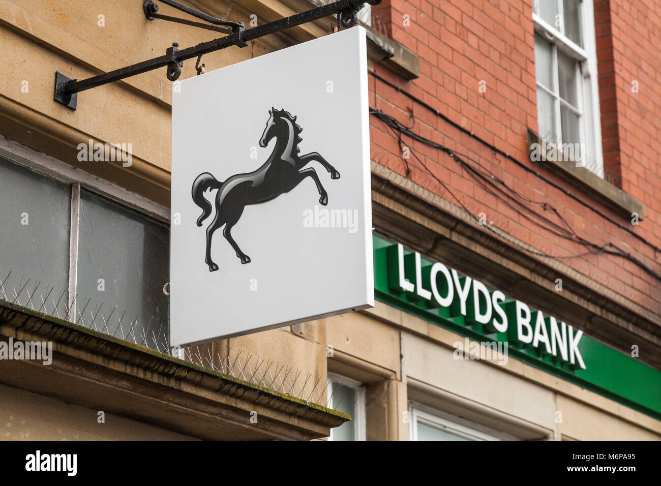 Lioyds Bank in Thirsk, North Yorkshire, England, Großbritannien Stockfoto