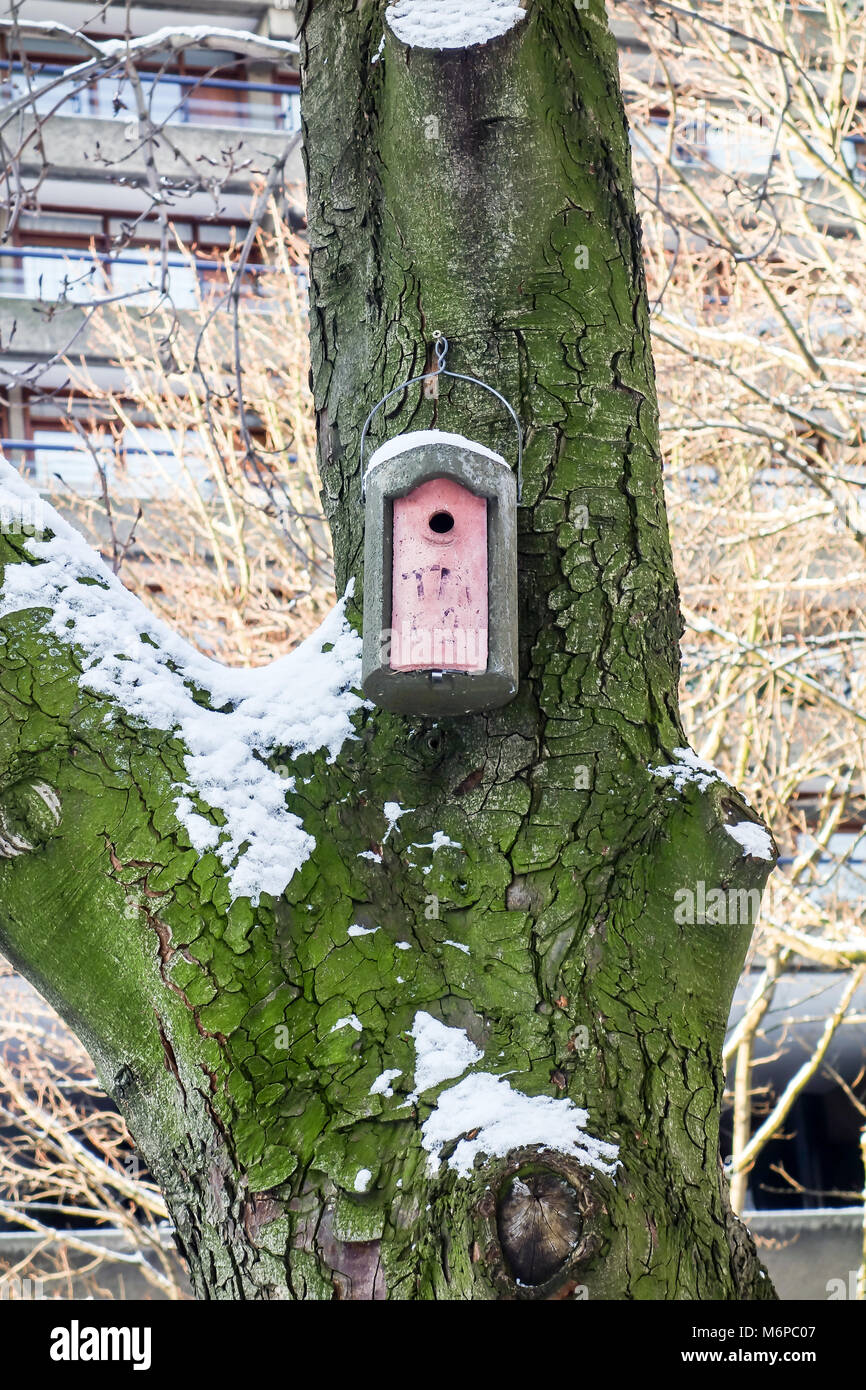 LONDON, GROSSBRITANNIEN, 28. Feb 2018: ein Vogel Schrägförderer in den weißen Schnee in der Barbican während der Sturm Emma abgedeckt Stockfoto