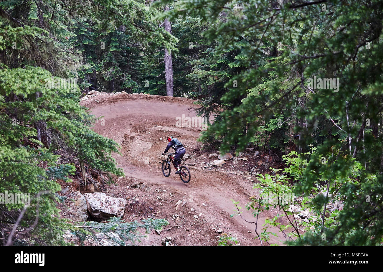 Mountainbiken in Whistler British Columbia Kanada BC Sommer Stockfoto