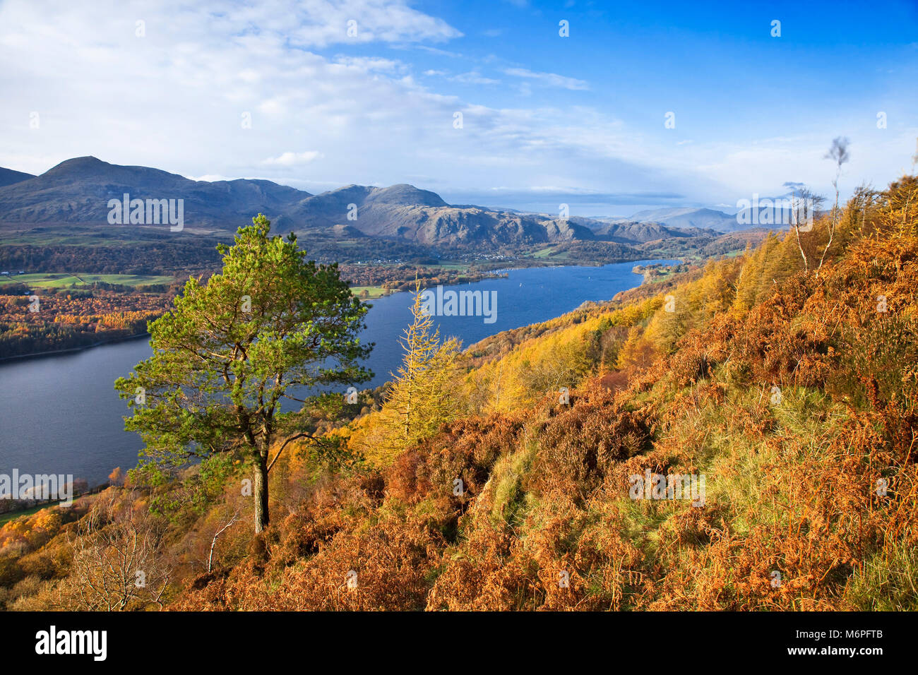 Coniston Water im Herbst vom Park Lake District Stockfoto