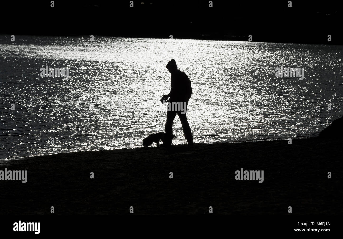 Mann, Hund in Silhouette gegen schimmernden Teich, Monochrom Stockfoto