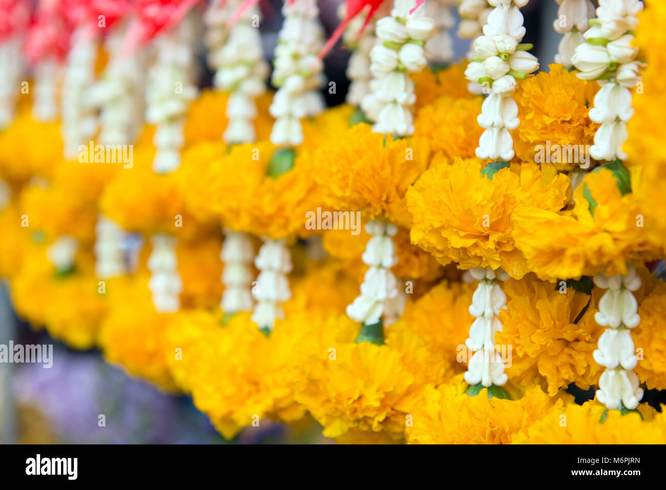 Flower Garland enthält die gelbe Ringelblume und Krone Blume Stockfoto