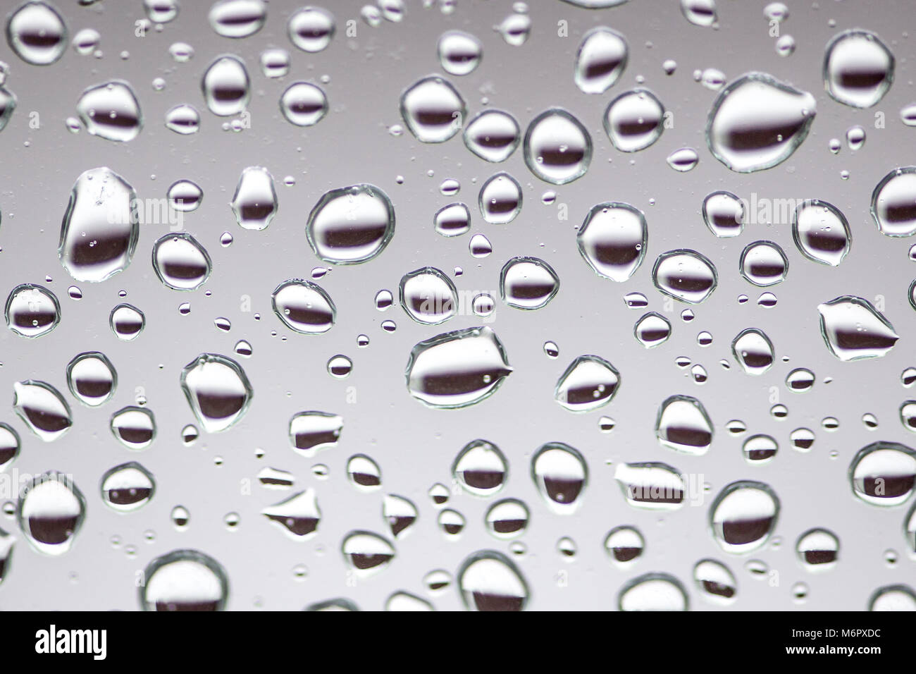 Regen fällt auf das Glas, Hintergrund. Wasser tropfen Hintergrund Textur. Stockfoto