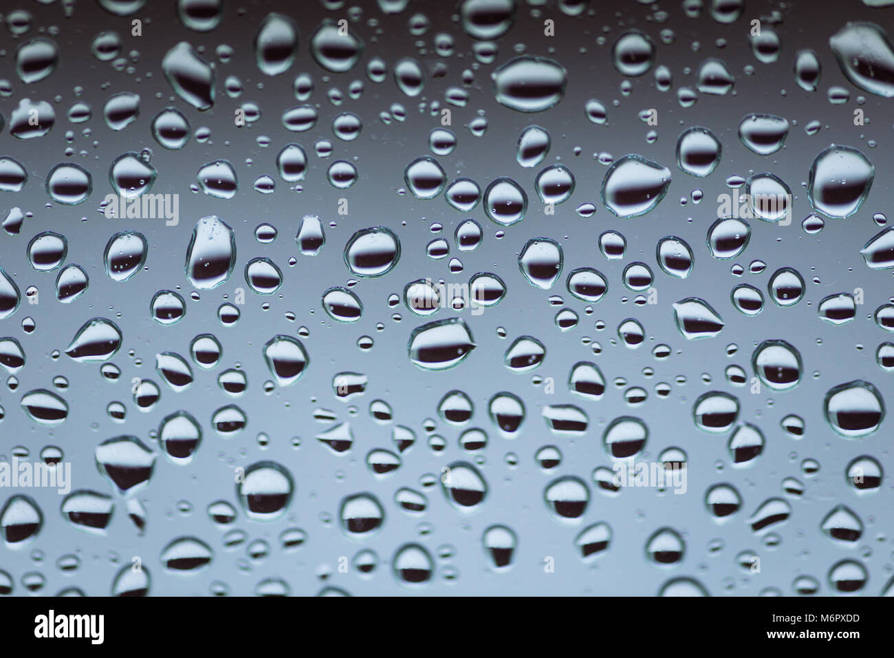 Regen fällt auf das Glas, Hintergrund. Wasser tropfen Hintergrund Textur. Stockfoto
