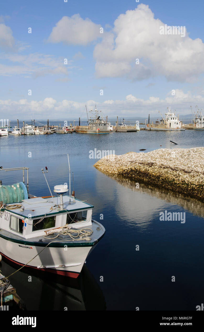 Ocean Park, Washington. Willapa Bay. Willapa Bay ist bekannt für seine sehr produktives Ökosystem und die Fülle der gezüchteten Austern bekannt und hat mehr unterstützt. Stockfoto