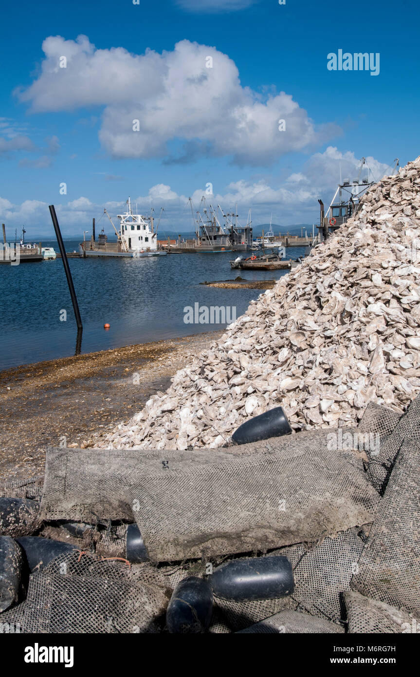 Ocean Park, Washington. Willapa Bay. Willapa Bay ist bekannt für seine sehr produktives Ökosystem und die Fülle der gezüchteten Austern bekannt und hat mehr unterstützt. Stockfoto
