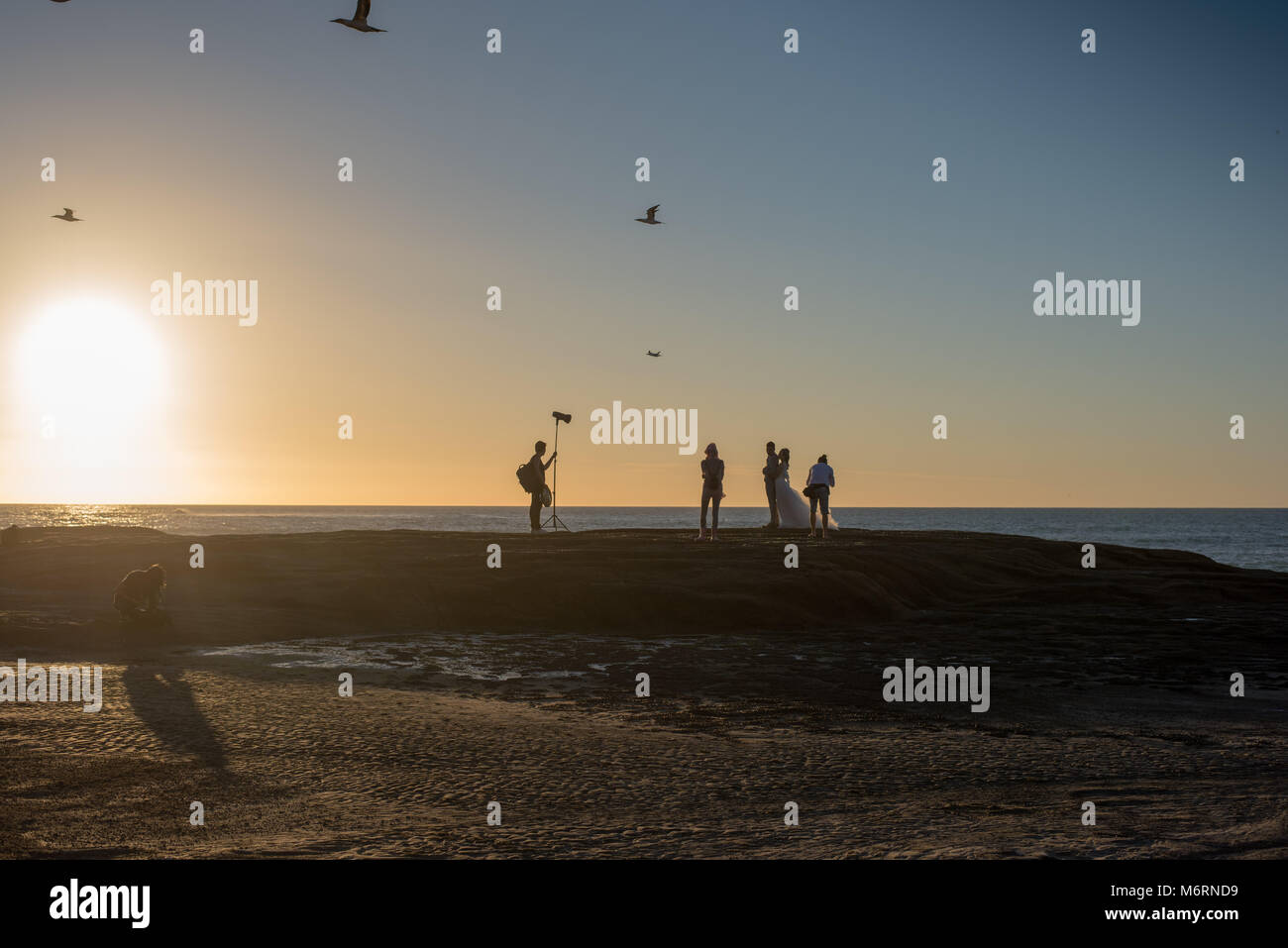 Gruppe von Menschen, die für die Hochzeit am Strand mit Vögeln im Himmel bei Sonnenuntergang, Muriwai, Neuseeland Stockfoto