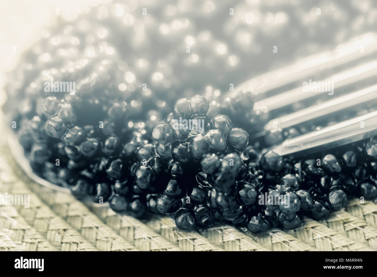 Schwarze Kaviar close-up für leckere Glückliches Essen Stockfoto