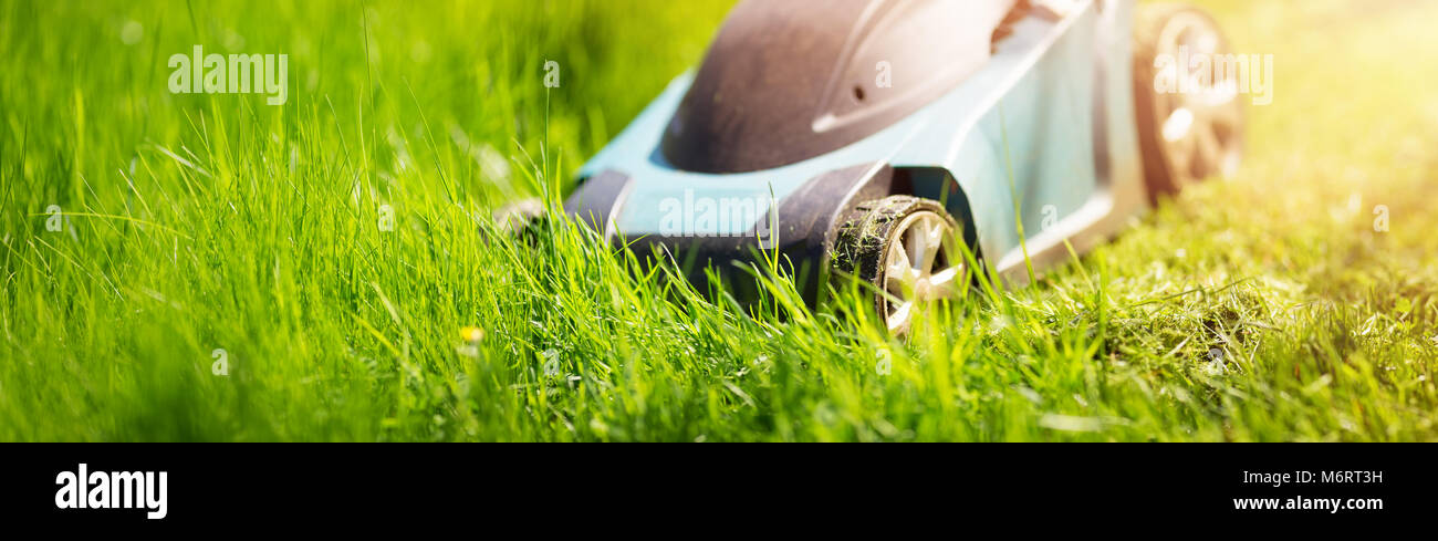 Grass cutter Rasen mähen Stockfoto