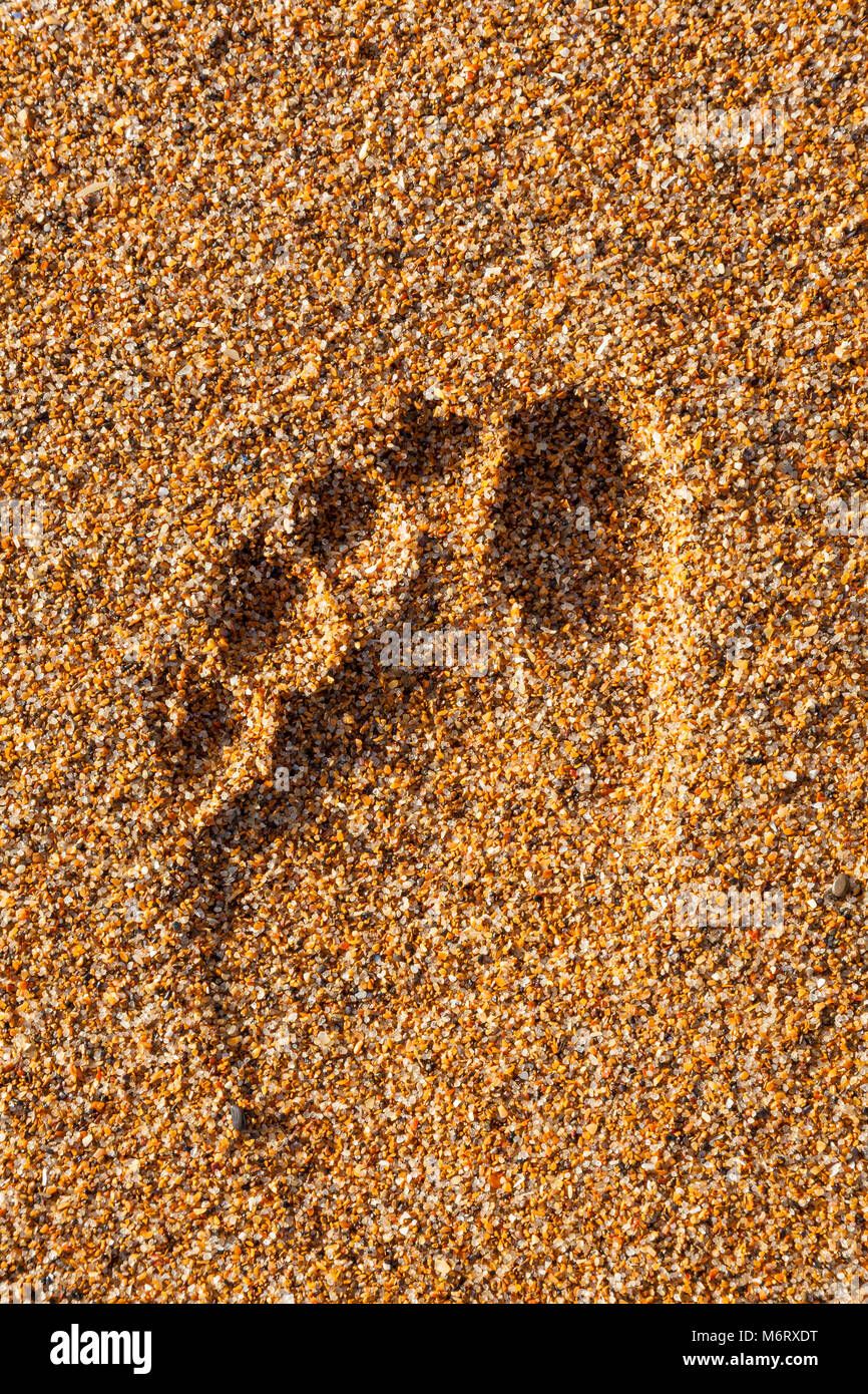 Womans Fußabdruck in der groben Sand auf Seaton Sluice Strand, Northumberland, Großbritannien Stockfoto