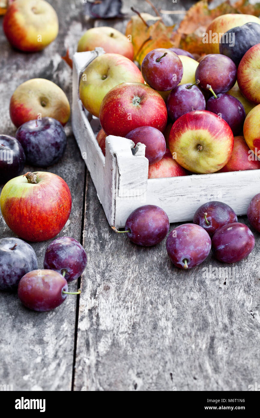 Obst der Saison. Äpfel und Pflaumen auf einem Holztisch Stockfoto