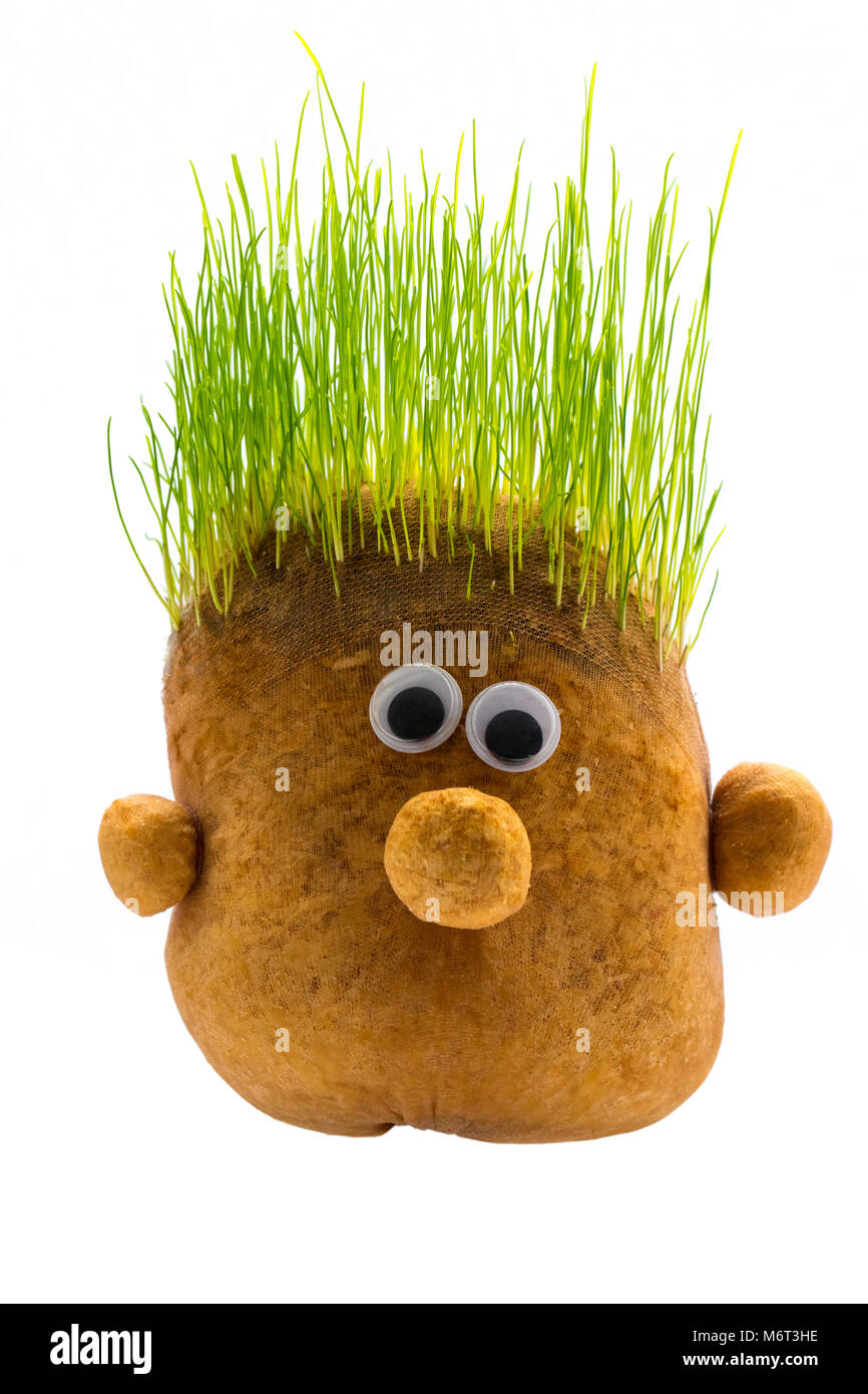 Kartoffel Gesicht Ausgeschnittene Stockfotos Und -Bilder - Seite 2 - Alamy
