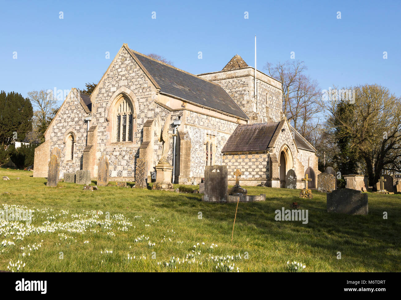 Showdrops in Blume im Friedhof des Dorfes Pfarrkirche des hl. Thomas Becket, Tilshead, Wiltshire, England, Großbritannien Stockfoto