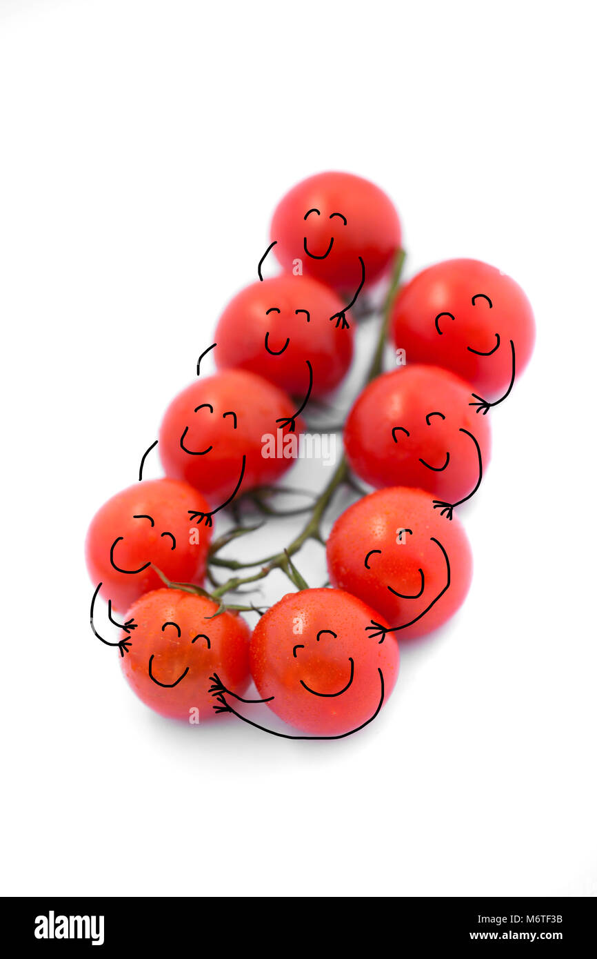 Bündel von frischen Tomaten mit Wassertropfen. Auf weissem Hintergrund. Emotionen; Personifizierung - Freundschaft und umarmen Stockfoto