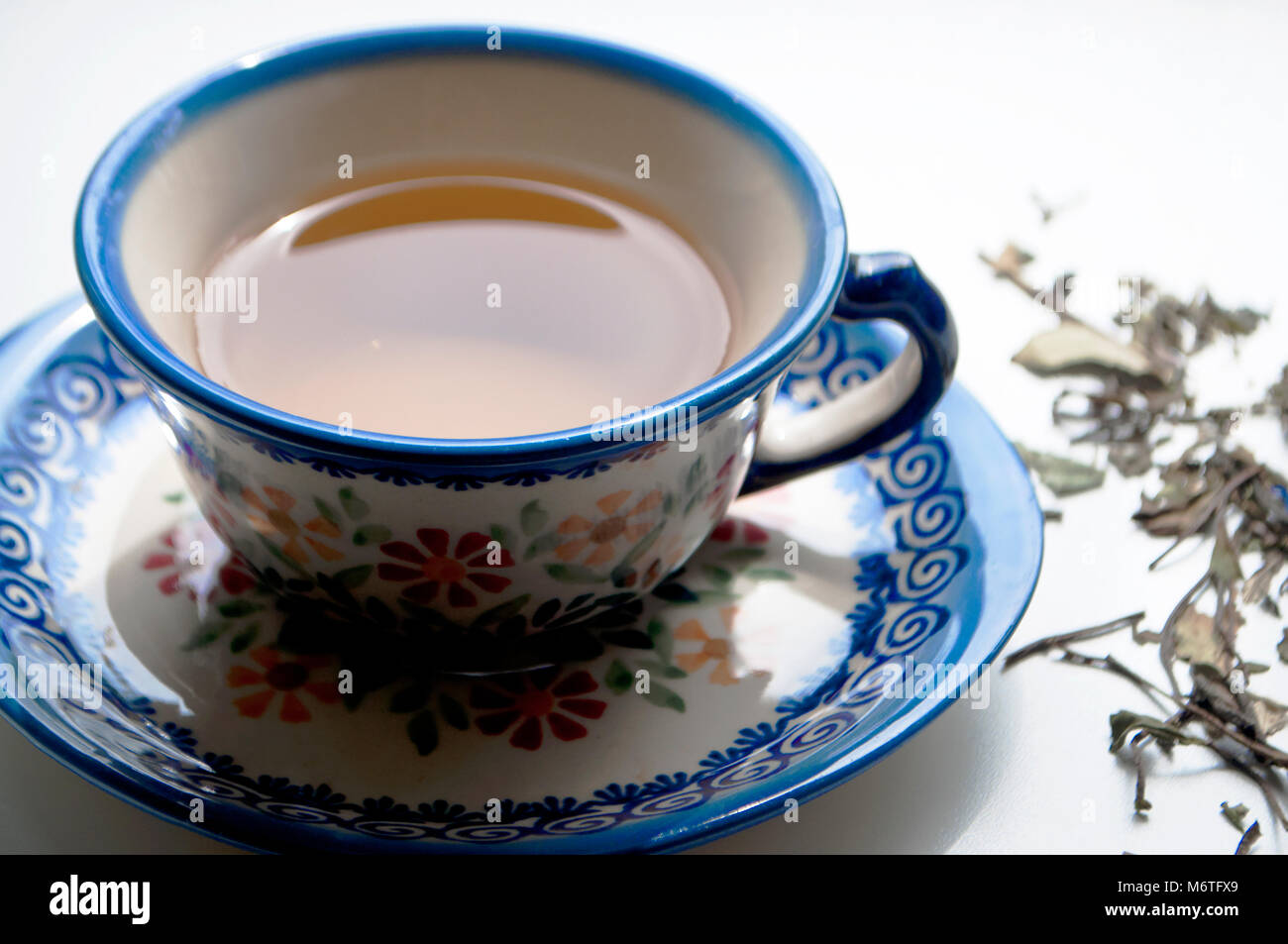 Nahaufnahme der Tasse Tee auf einem weißen Hintergrund Stockfoto