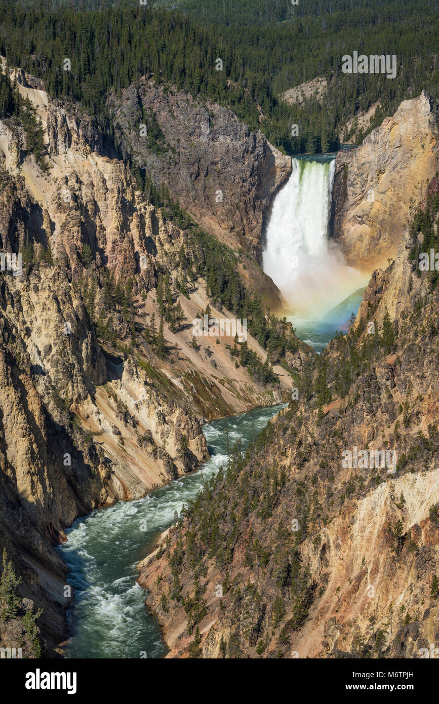 Lower Falls des Yellowstone River, mit Regenbogen am Fuß des Wasserfalls, von Künstlern Punkt, Yellowstone-Nationalpark, Wyoming. Stockfoto