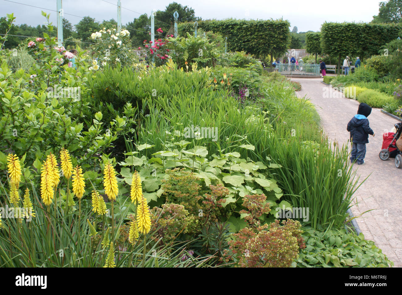 Doppelwandige Garten Stockfoto