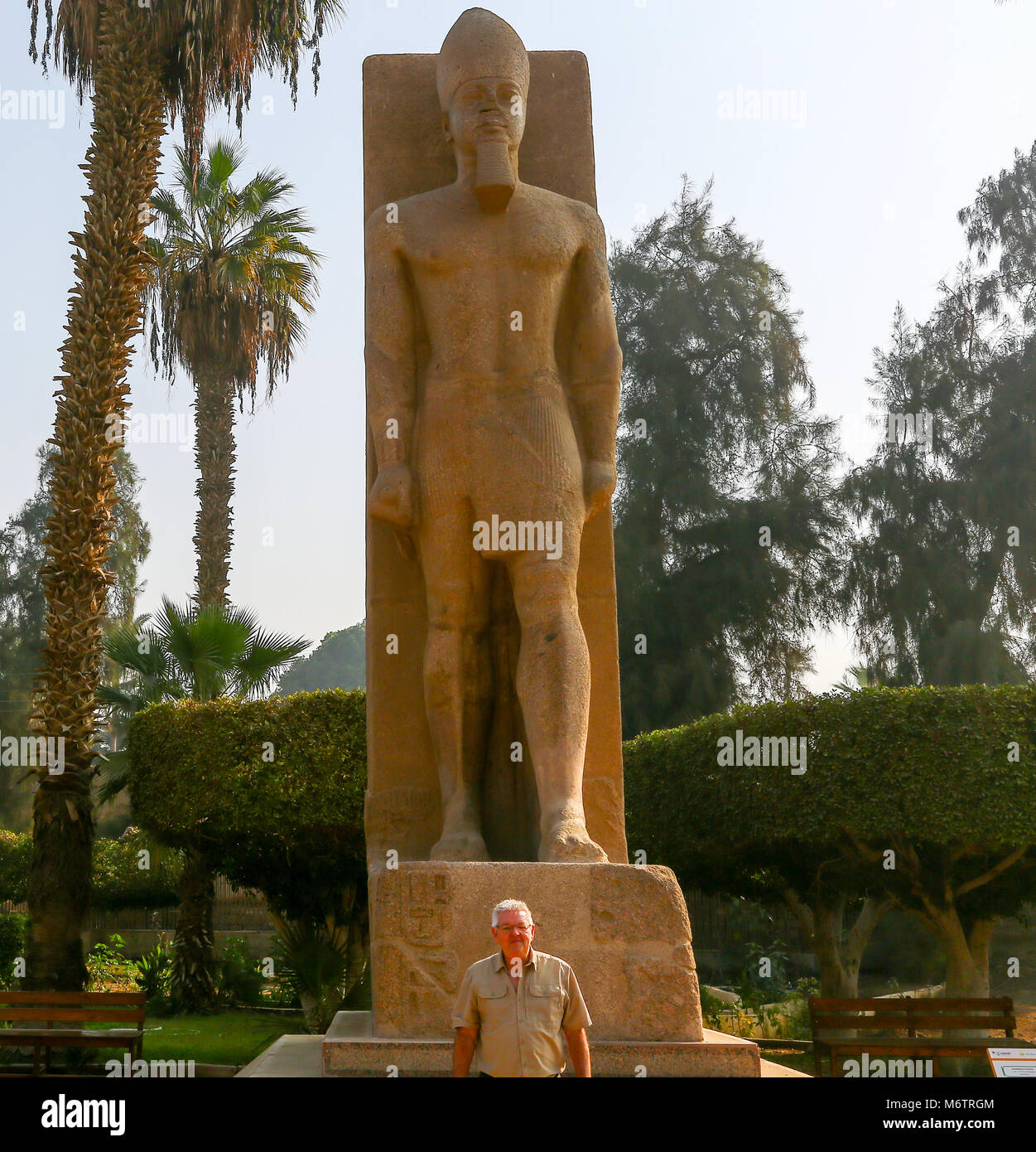 Statue von Pharao Ramses II. in Memphis, Ägypten, Nordafrika Stockfoto