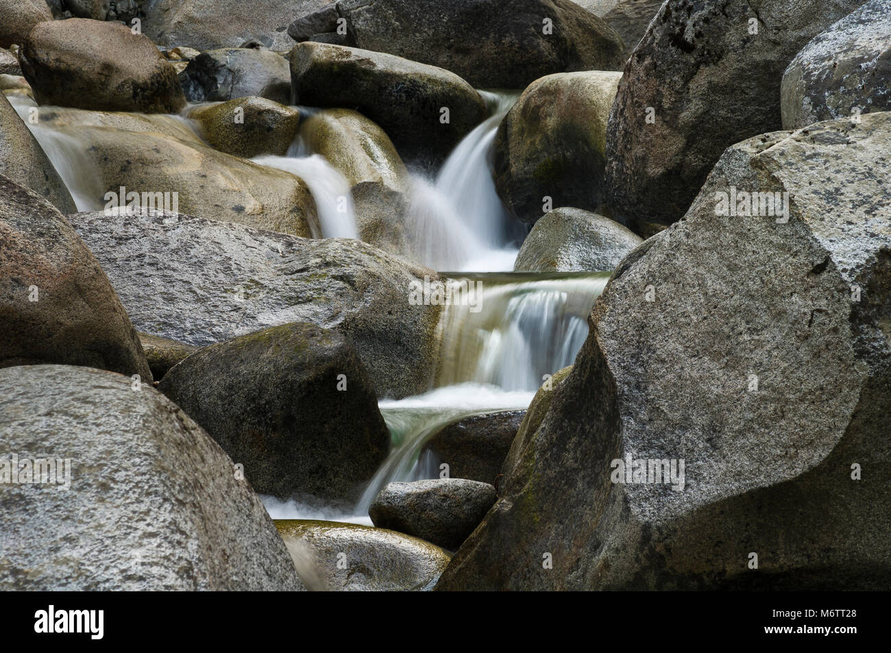 Eagle Creek, Shasta-Trinity National Forest, Dreifaltigkeit, Alpen, Berge, Kalifornien. Stockfoto