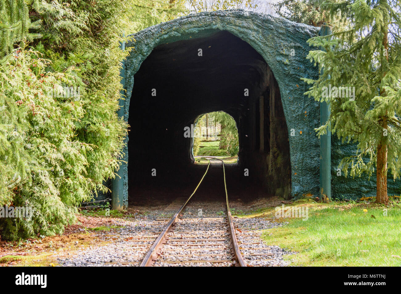 Die Eisenbahnschienen, die in den Tunnel und verlassen Sie den Tunnel am Ende. Grünes Gras und Nadelbäume auf beiden Seiten an einem hellen Sommertag. Stockfoto