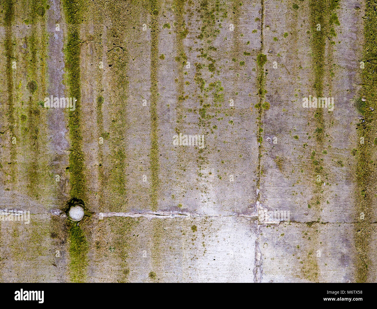 Moos und Schimmel Streifen auf eine Betonwand. Stockfoto