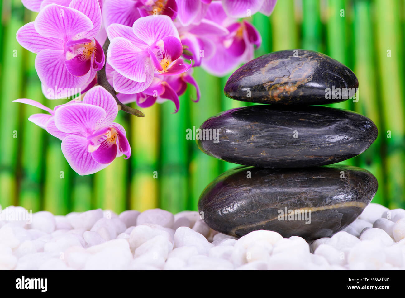 Japanischer Zen-Garten mit gestapelten Steinen und orchid flower Stockfoto