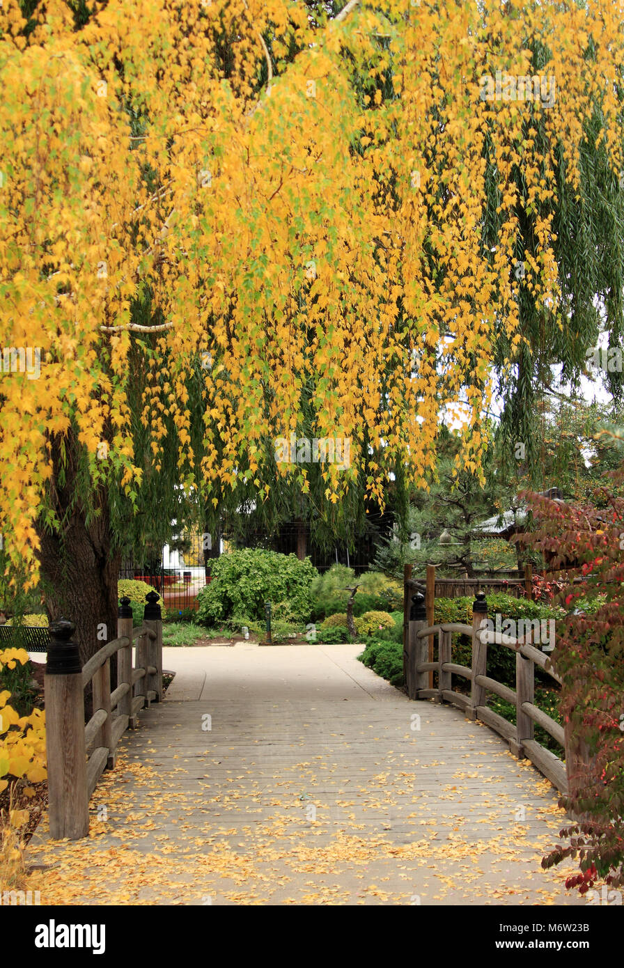 Eine Stadt Park im Herbst in Denver, Colorado Stockfoto