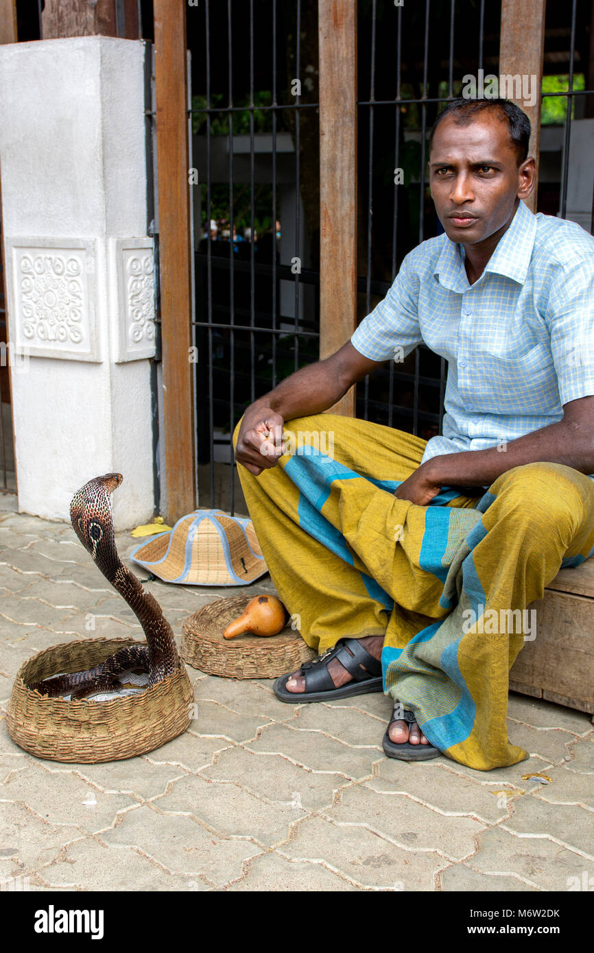 Schlangencharmer in Sarong mit der indischen Kobra (Naja Naja) in Kandy, Sri Lanka Stockfoto