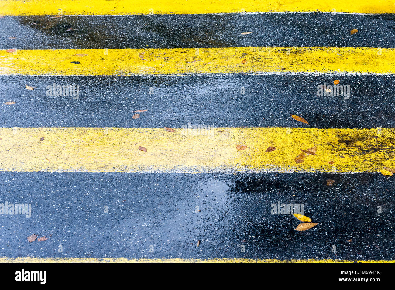 Gelbe Zebrastreifen Linien mit Reflexion nach der rainYerevan, Armenien. Stockfoto