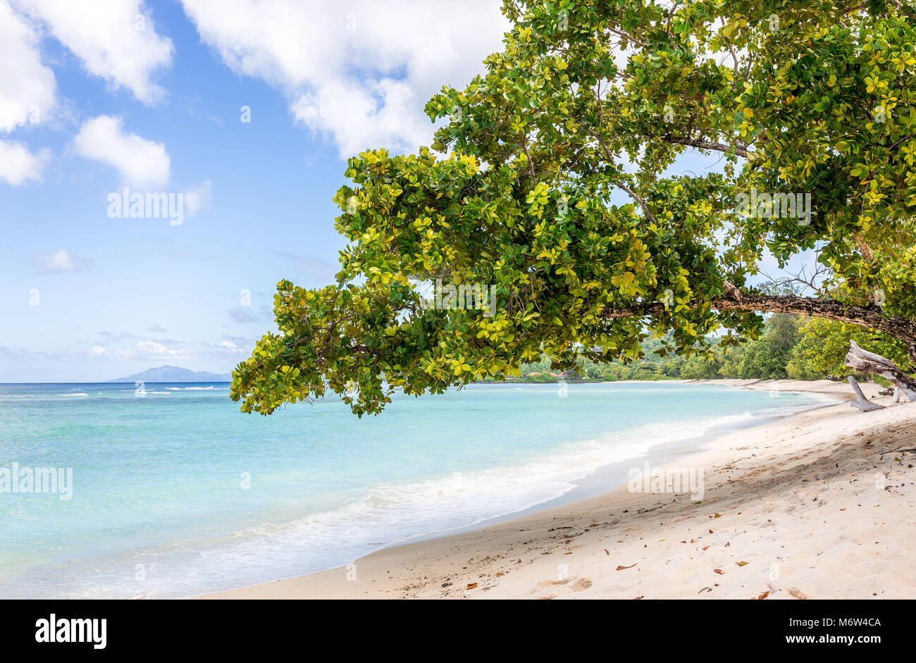 Paradise Sandstrand auf Silhouette Island, Seychellen Stockfoto