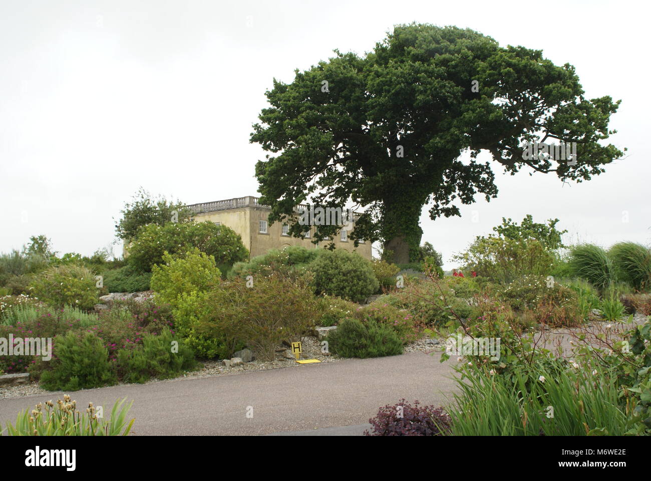Nationaler Botanischer Garten von Wales Stockfoto
