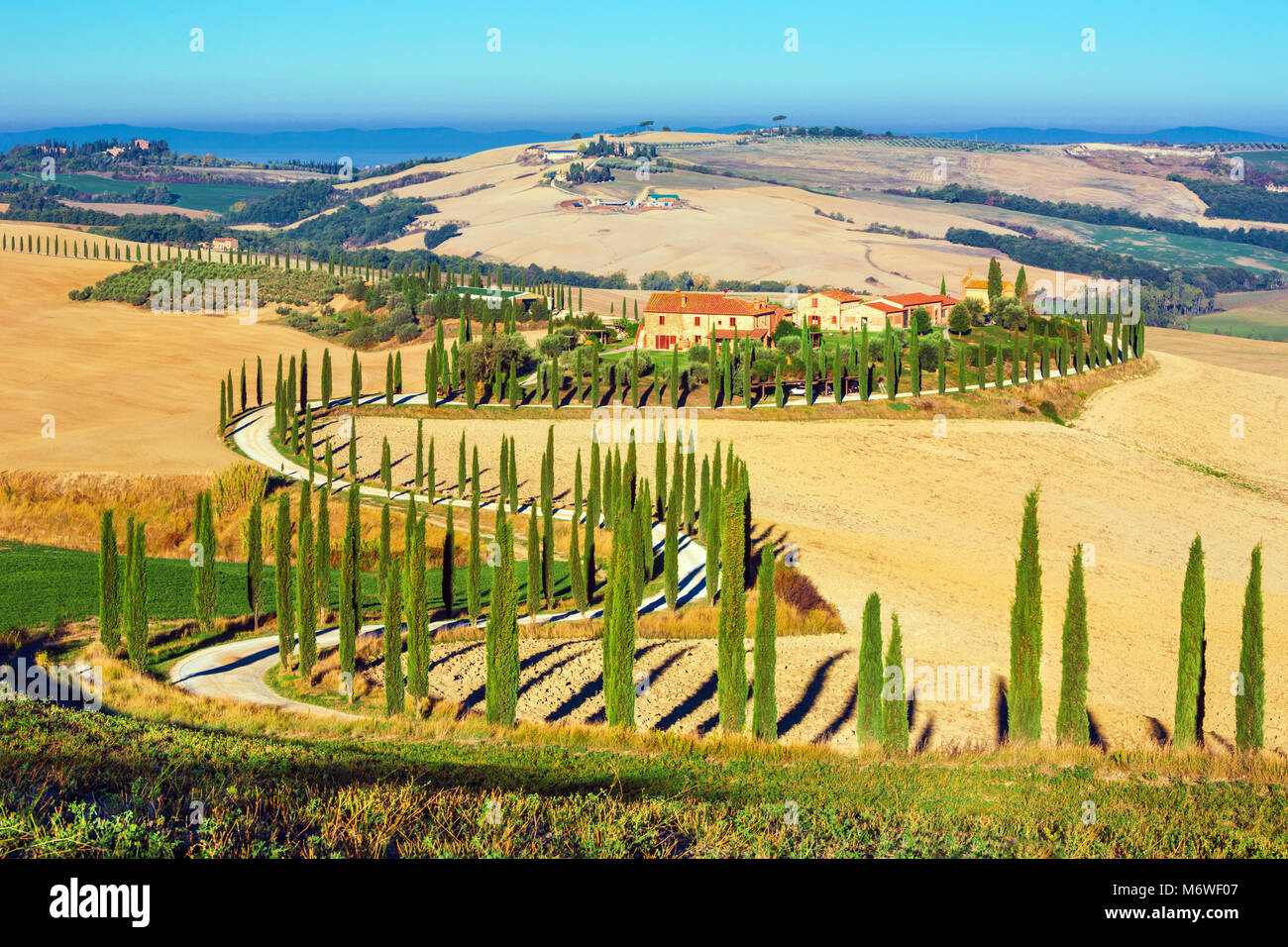 Crete Senesi, Toskana, Italien. Ein einsames Bauernhaus mit Zypressen und Olivenbäumen, Rolling Hills, Toskana, Italien. Stockfoto
