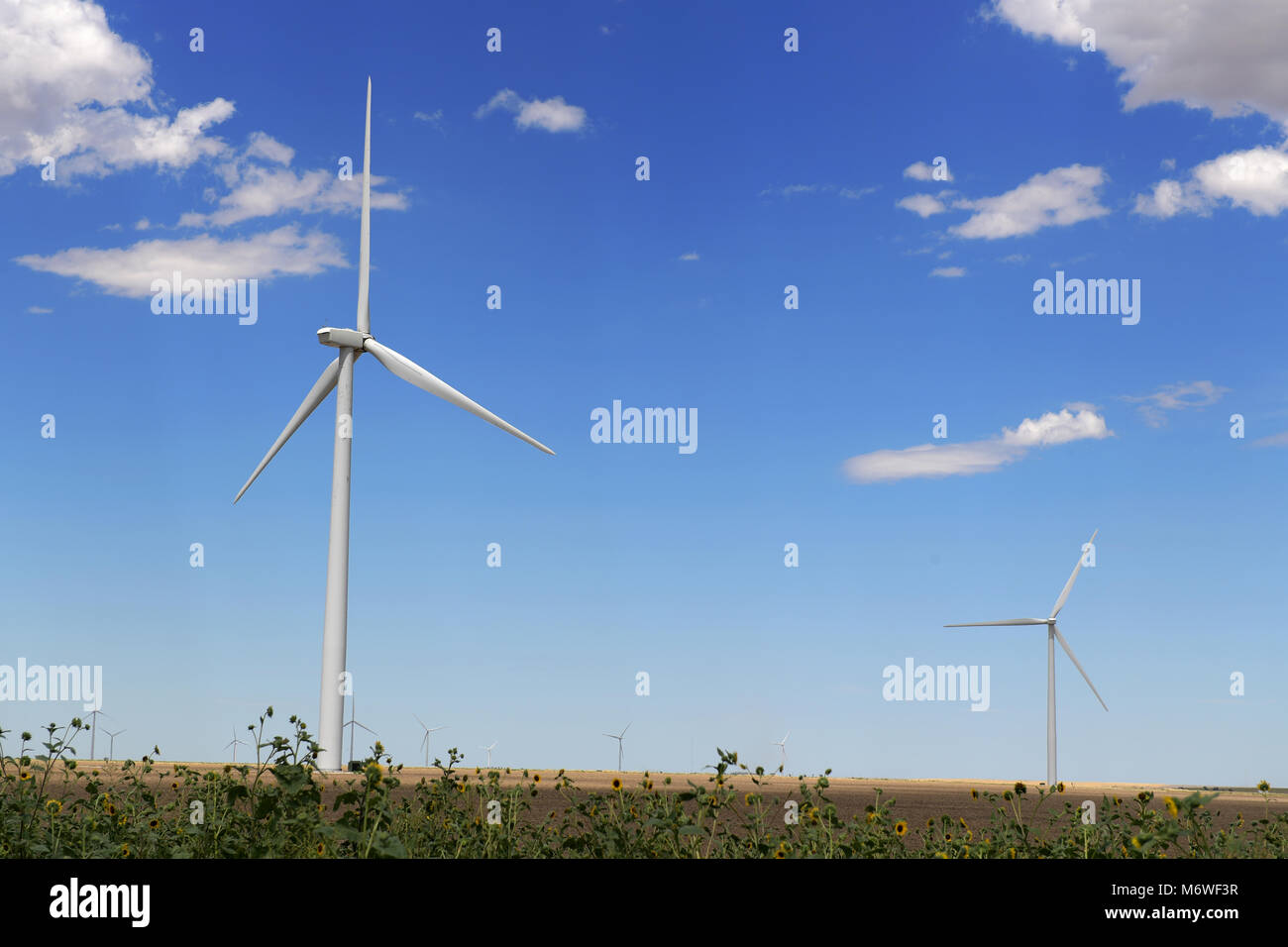 Windkraftanlagen auf freiem Feld mit Sonnenblumen im Vordergrund Stockfoto
