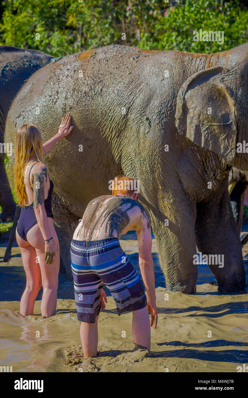 CHIANG RAI, THAILAND - 01. Februar 2018: Im Freien von unbekannten Menschen waschen eines riesigen Elefanten mit Schlamm im Dschungel, Elephant Sanctuary Spa, Enjo Stockfoto