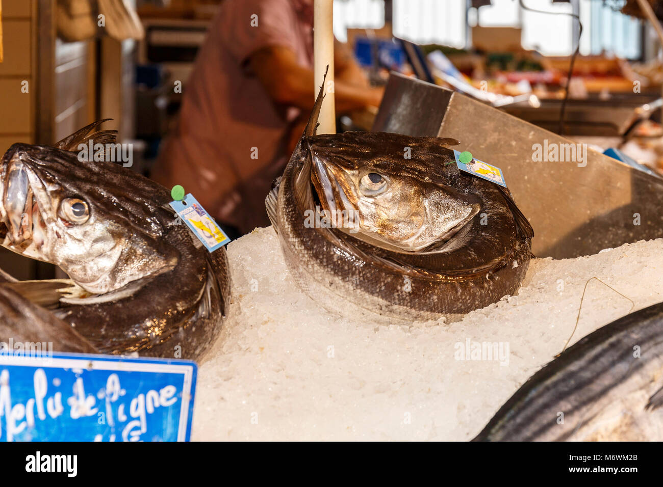 Fischmarkt, Saint-Martin-de-Re, Nouvelle Aquitaine, Frankreich Stockfoto