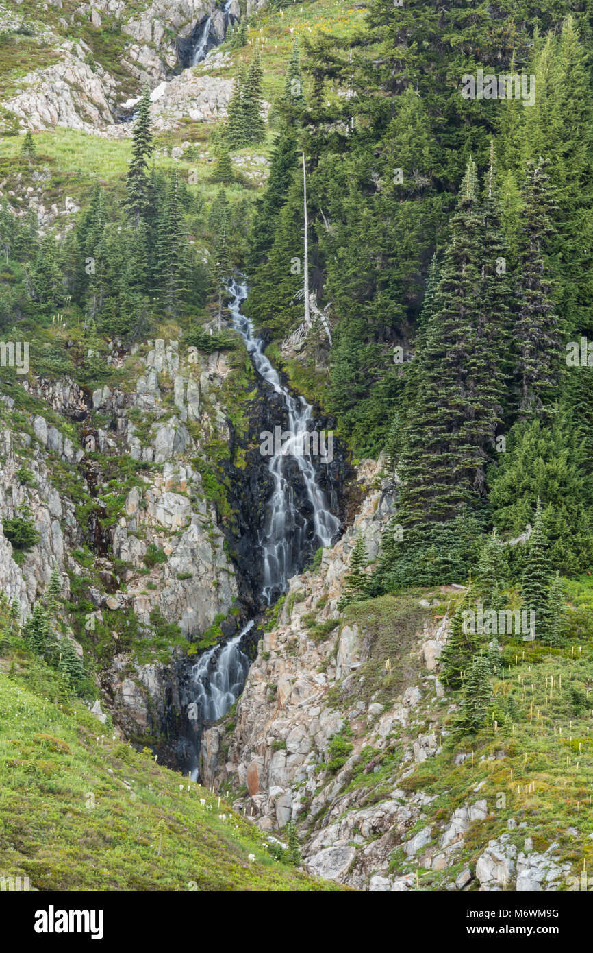 Wasserfall im Paradies des Mount Rainer im Sommer Stockfoto