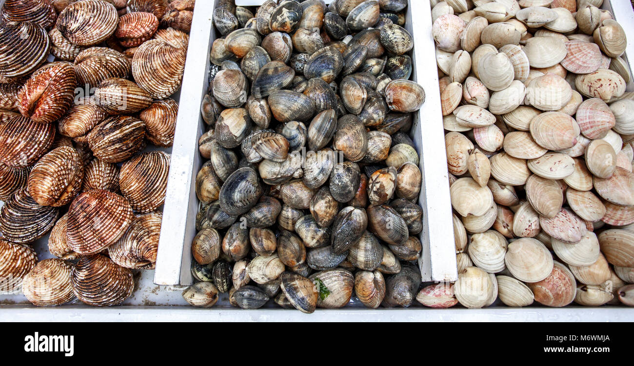 Muscheln oder Muscheln am Fischmarkt angezeigt Stockfoto