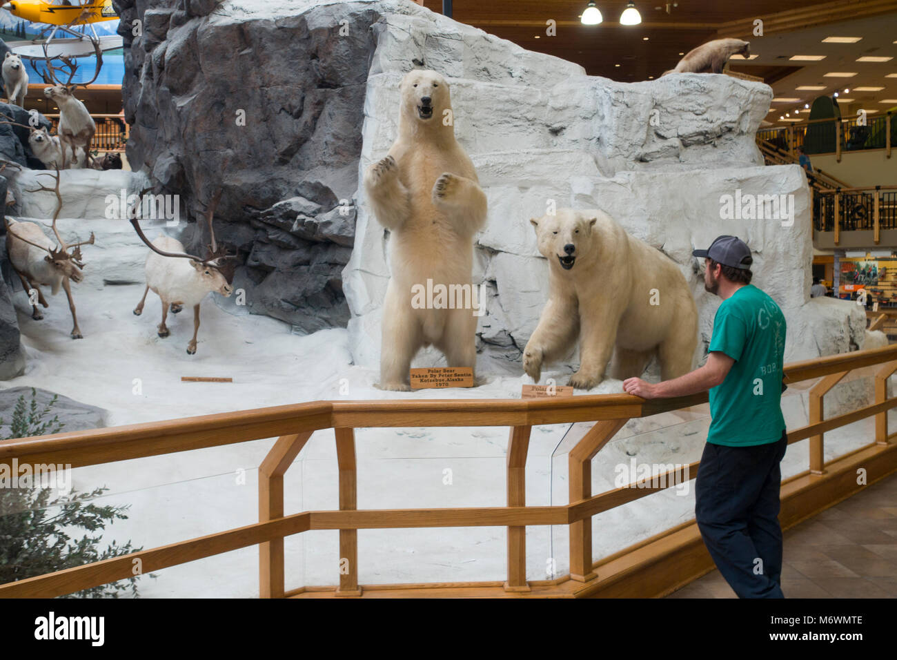 Cabela's Store in Hamburg PA Stockfoto