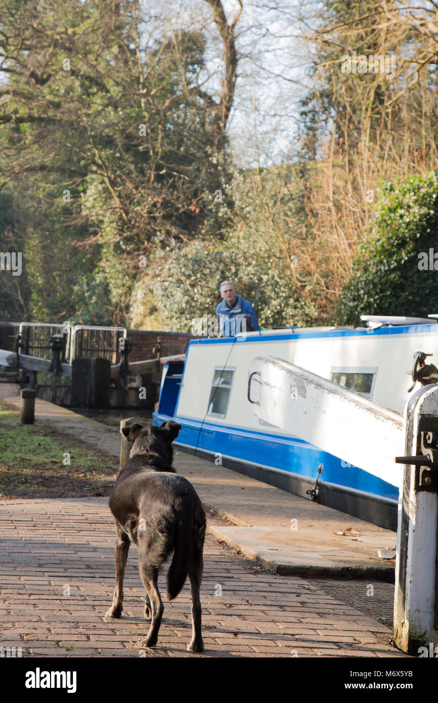 Kidderminster, Großbritannien. 7. März, 2018. UK Wetter: Sonne in Kidderminster sieht diesen Reisenden und seinen vierbeinigen Begleiter für Reisen. Hier ist er gemächlich Navigation entlang der britischen Wasserstraßen genießen einen erheblich langsamer als die Pendler auf dem Weg zur Arbeit. Quelle: Lee Hudson/Alamy leben Nachrichten Stockfoto