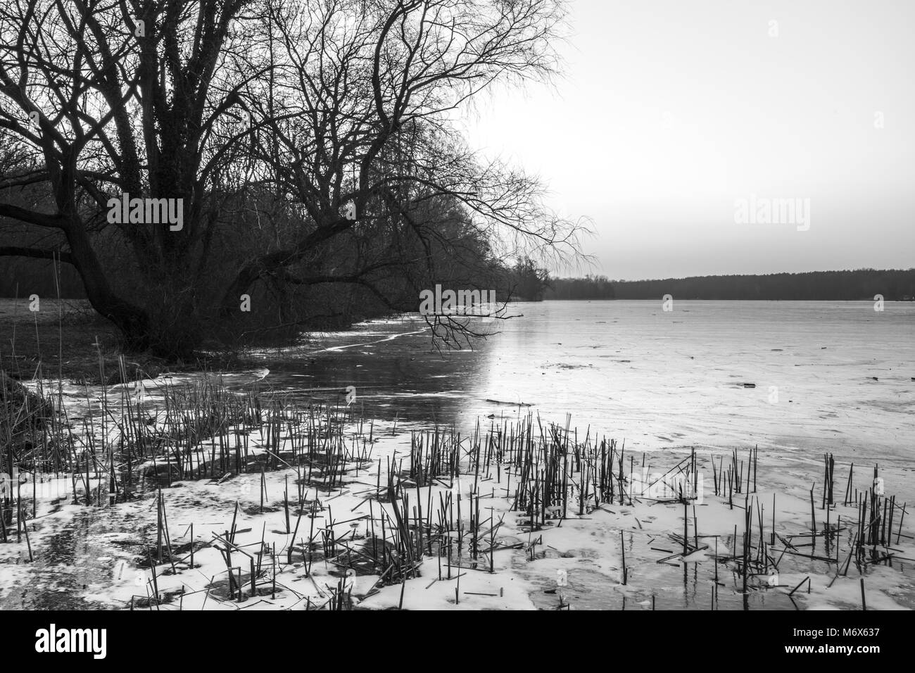 Posen, Großpolen, Polen. 3 Mär, 2018. Orte - die gefrorenen See. Credit: Dawid Tatarkiewicz/ZUMA Draht/Alamy leben Nachrichten Stockfoto