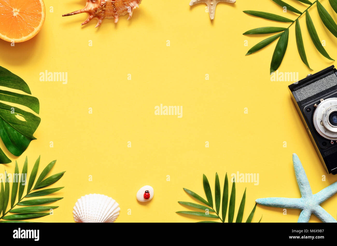 Tropischen Hintergrund. Palmen Zweige mit Kamera und seashell auf gelben Hintergrund. Reisen. Ansicht von oben. Stockfoto